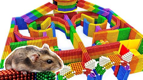 hamster maze videos|Hamster Mazes .